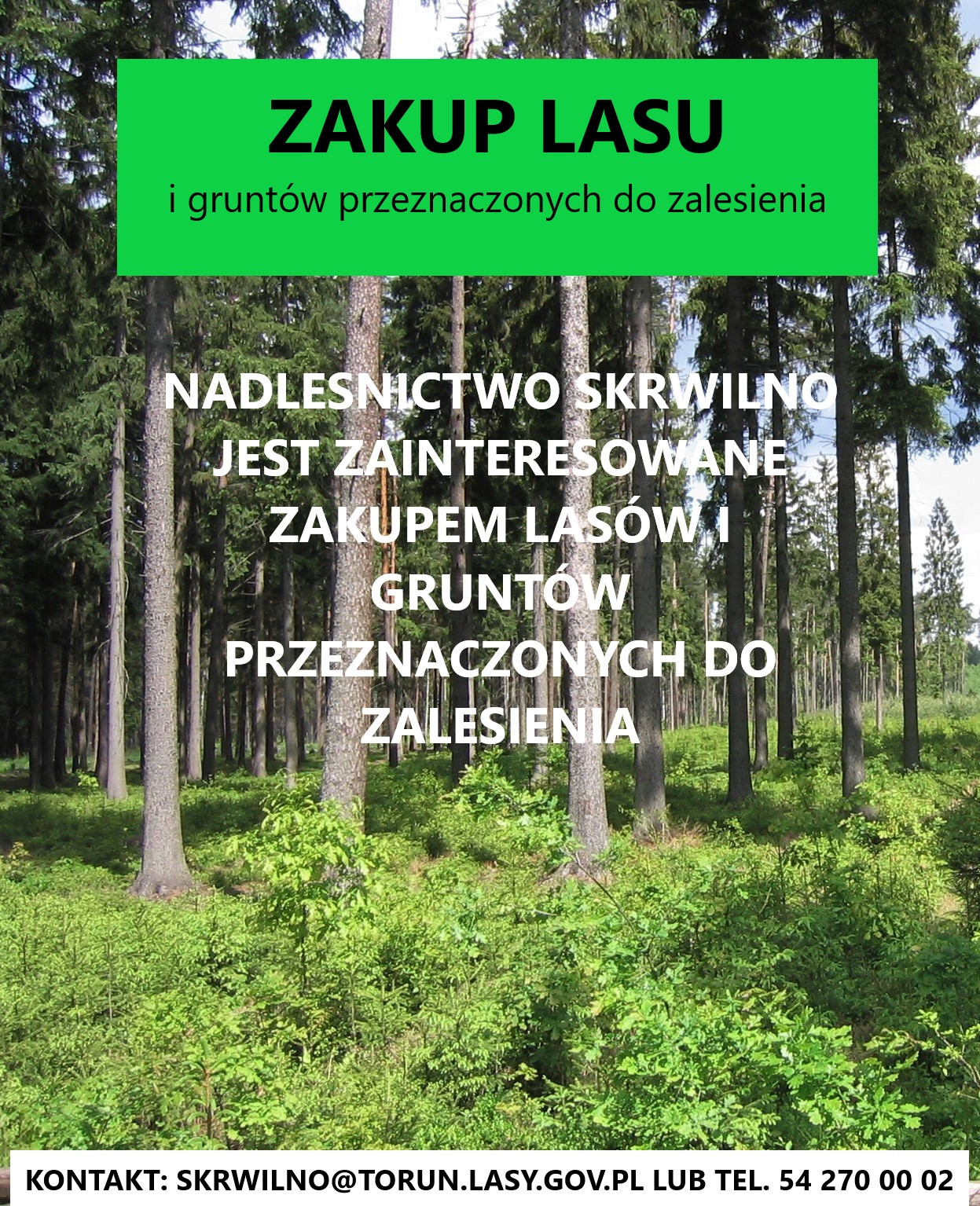 Zajawka przedstawia las z napisem Nadleśnictwo Skrwilno jest zainteresowane zakupem lasów i gruntów przeznaczonych do zalesienia.