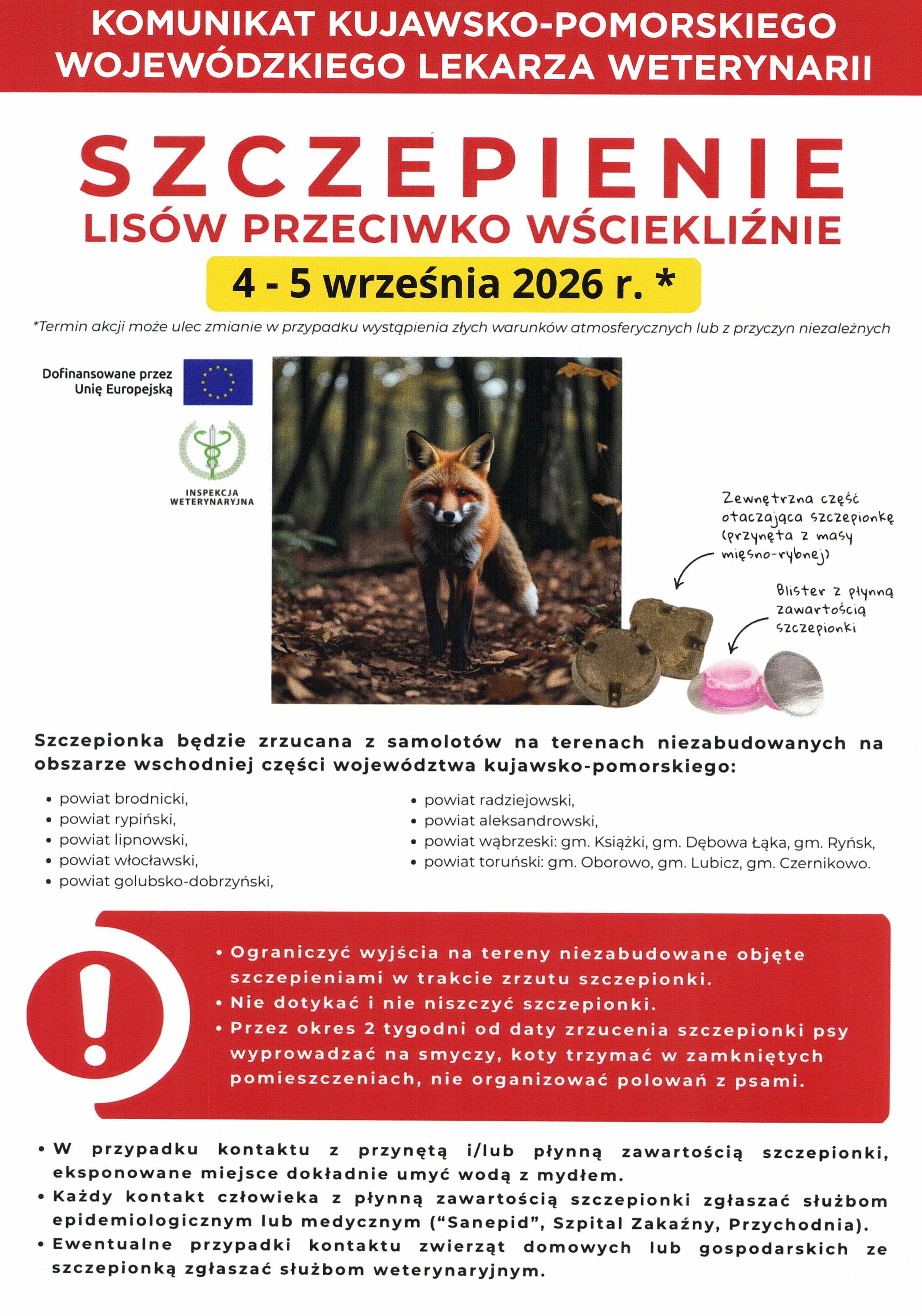 Plakat z lisem w lesie
